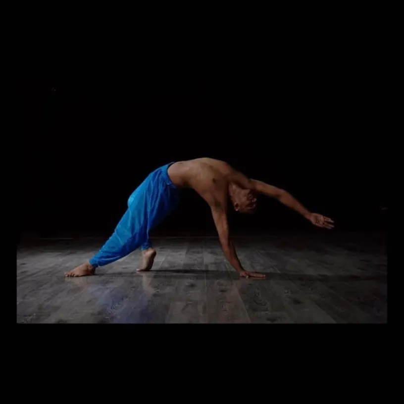 Actor  dance choreographer, performer, writer 