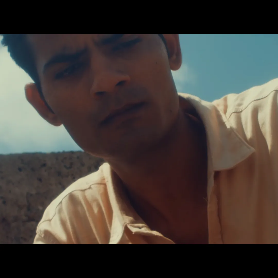 Director, cinematographer
