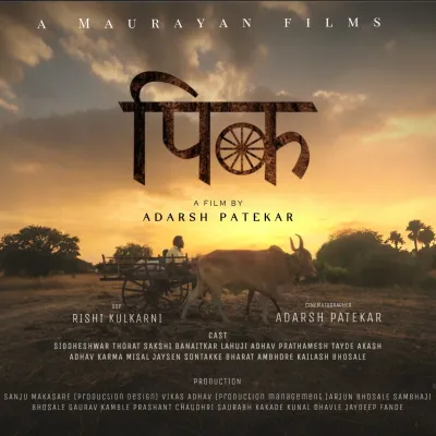 Filmmaking, screenwriting and video editing 